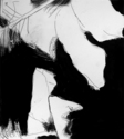 hibiscus%203 (thumbnail)