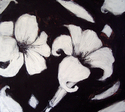 lillies (thumbnail)
