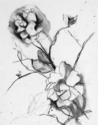 Gardenias (thumbnail)