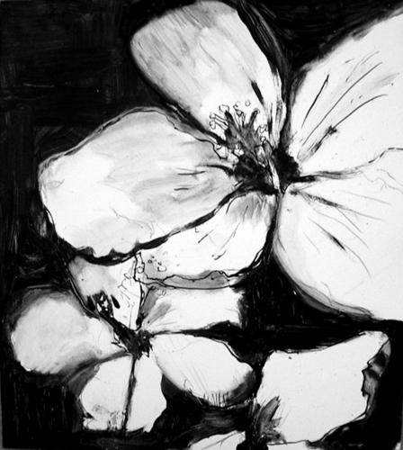 hibiscus%202 (large view)