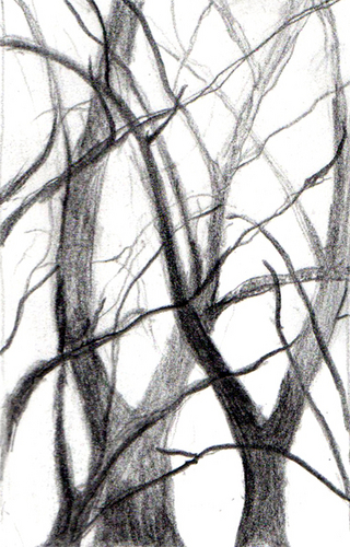 Burnt%20Branches (large view)
