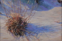Painting--Pastels-LandscapeSea Oats