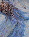 Painting--Pastels-BotanicalCascade