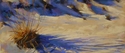 Painting--Pastels-LandscapeDune Grass