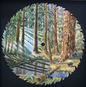 Big Trees Bear Country close up
