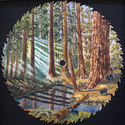 Big Trees Bear Country - Prints