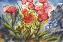Mountain Flowers
