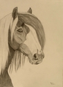Gypsy Rose
