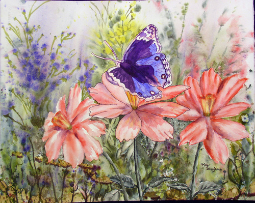Monarch Impressions