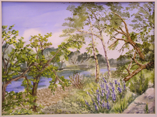Down The American River