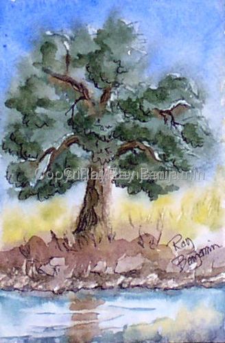 SOLD_Pint Size Oak
