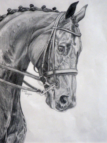 Blue Ribon Winner