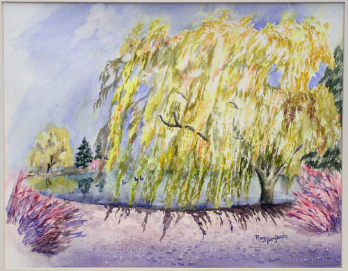Fall Willow