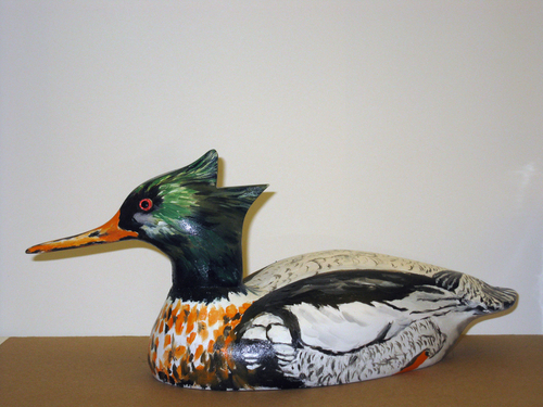 Red Breasted Merganser