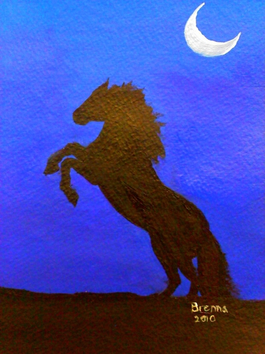 Black Stallion Silhouette
