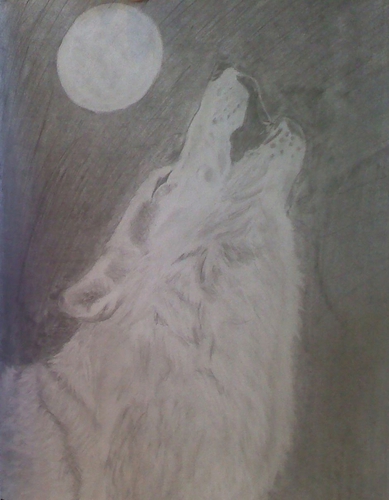 Wolf in Wild