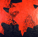 Oaky (thumbnail)