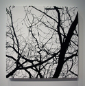 Untitled (thumbnail)