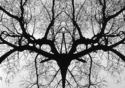 Untitled (thumbnail)
