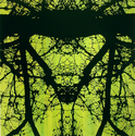 Raymond Yeager - Abstract Painting Raymond Yeager, Ray Yeager, abstract symmetry, green, figure and ground, trees, abstract patterns, face, oil painting - Abstract Painting