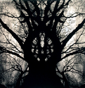 Janus%20II (thumbnail)