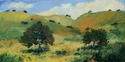 Figueroa Mountain Gold