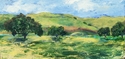 Figueroa Mountain Memory