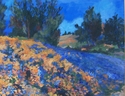 Poppies and Lupines