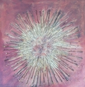 sunburst