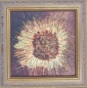 sunburst 2