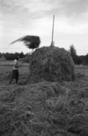 Romania%202005-30-0a (thumbnail)