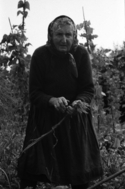 Romania%202005-35-4a (thumbnail)