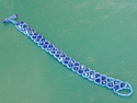 Layal
