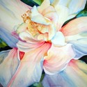 Profusion (thumbnail)