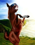 Loretta McNair - Animals Painting horse, harmonica, cliff, bluff, ocean, music, animals - Animals Painting