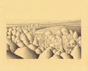 Print Making--GicleeNaunton