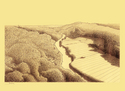 Drawing--Ink-LandscapeRiver Wye