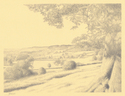 Drawing--Pencil-LandscapeThe Cotswolds Scarp