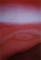 Print Making--Giclee-LandscapeMonoDream of Shikoku