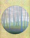Print Making--Giclee-LandscapeBamboo Grove