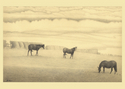 Print Making--Giclee-LandscapeCotswolds Horses