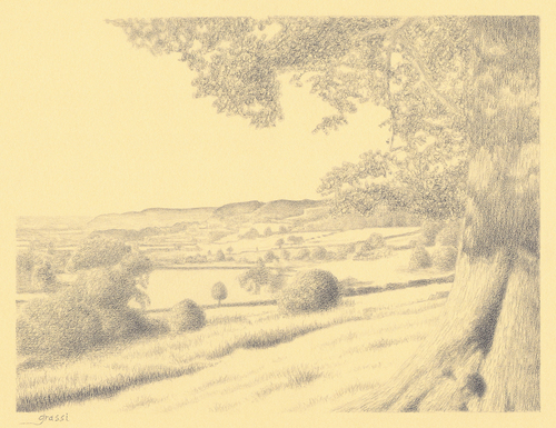 Drawing-Landscape-The Cotswolds Scarp