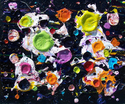Richard Heinsohn - " Mega Metamorphasis "