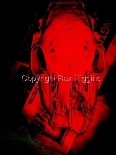 Mixed Media-Representational-Red Skull