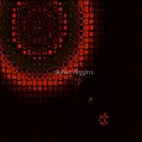 Print Making-Abstract-Liteburst