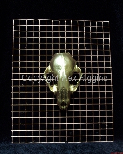 Sculpture-Abstract-Cranium Mania #6610-1