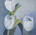 White Tulips 2