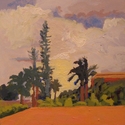 From The Window