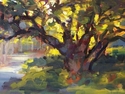 Sunset%20Oak (thumbnail)