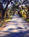Afternoon%20Oaks (thumbnail)
